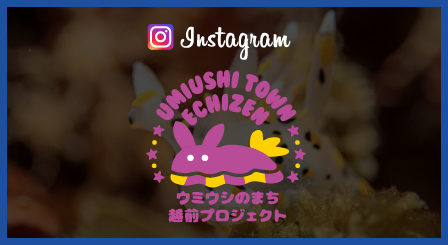 ウミウシ王国越前 Instagram